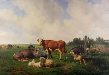 Tiere auf einer Wiese weidend